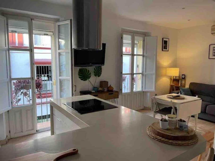 180 Home Casa Rodrigo De Triana 塞维利亚 外观 照片